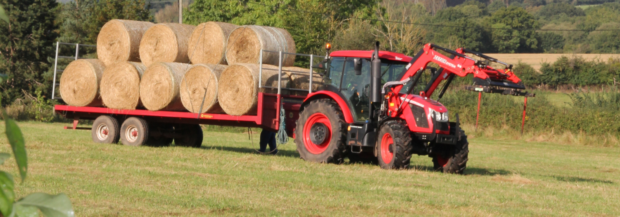 Big logs set on a truck